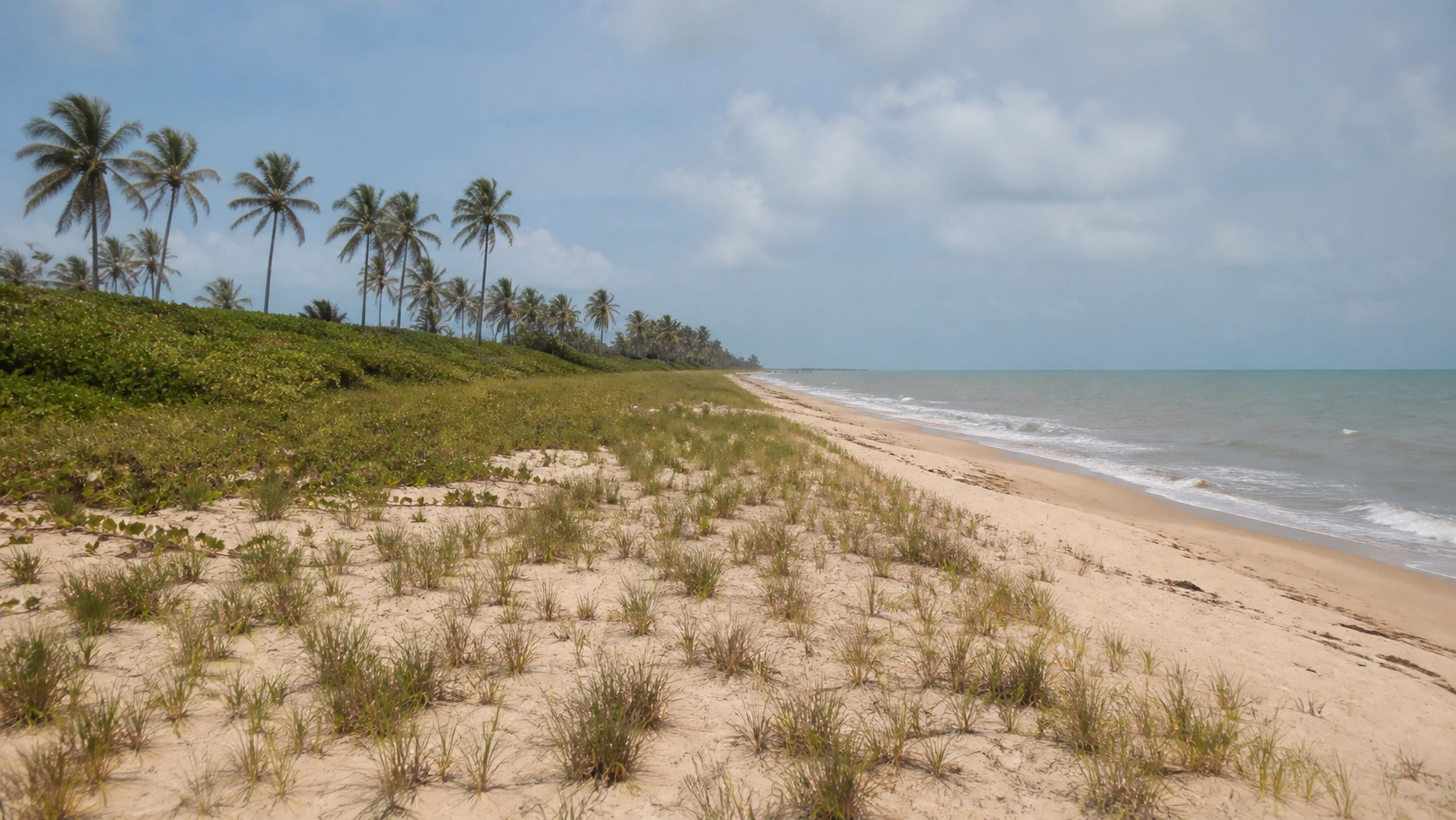 Praia de Ponta de Coqueiros