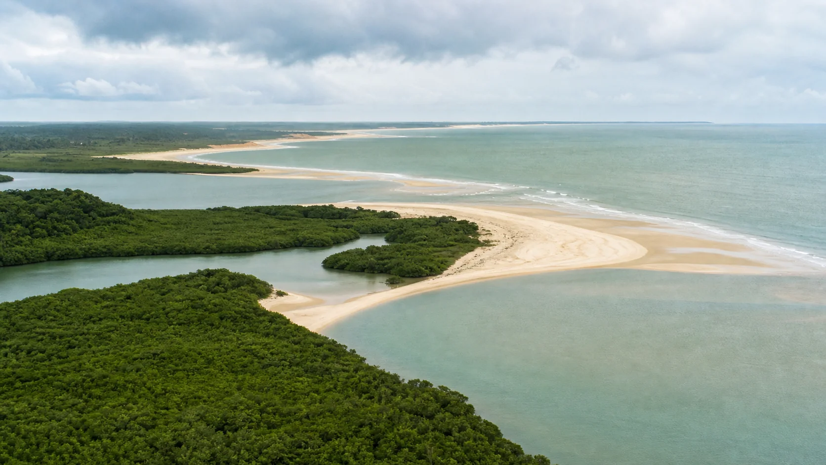Panorama editorial inspirado na costa Norte do Brasil
